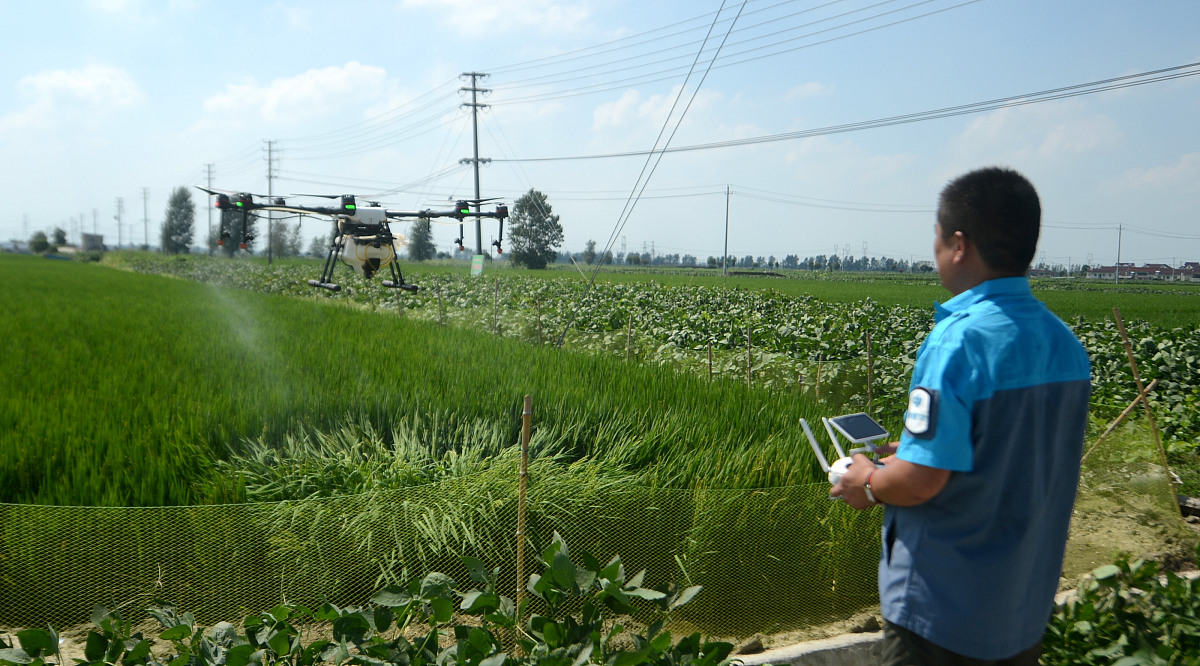 病虫害识别系统：提高农业效率的关键