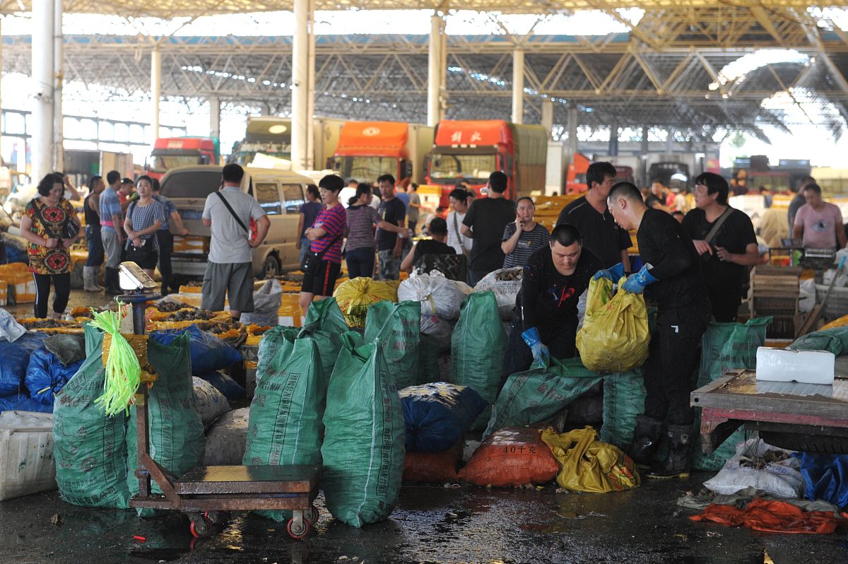 2019年9月10日,经营业户在青岛市城阳区水产品批发市场打包海螺准备发