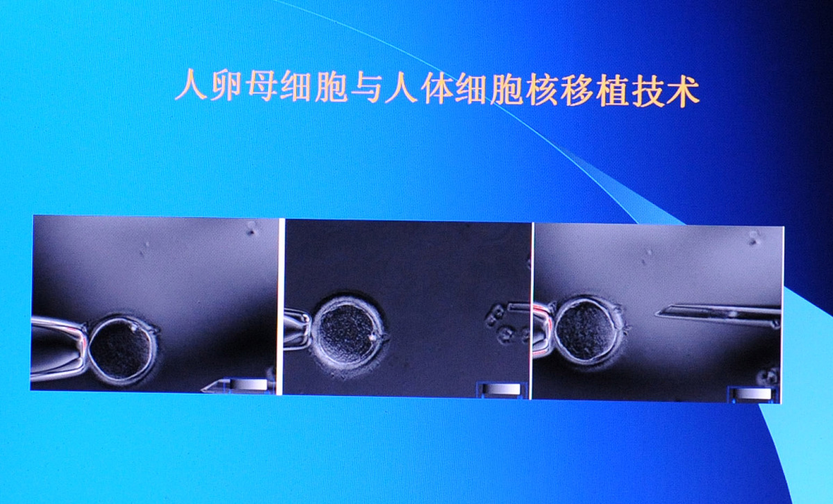 2009年2月2日,山东烟台,记者从在烟台召开的"我国科学家成功获得人类