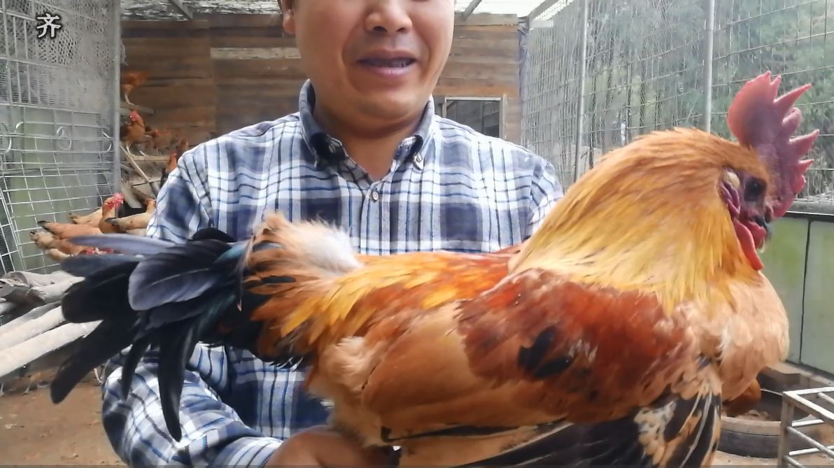 孩子上高三了,做好吃的给女儿送去,一家人在学校食堂共度午餐