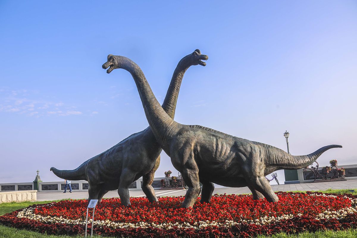 黑龙江生物科技职业学院畜牧兽医专业课程设置：全面学习畜牧兽医知识