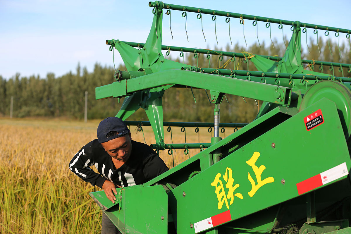 水稻收割机种类
