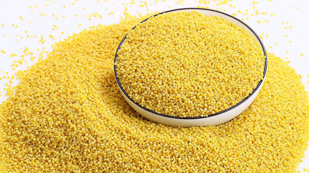 舌尖厨房:小米粥的营养做法,大厨教你洗小米,清香养胃!