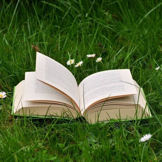 女主末世重生宠文:她是妖娆倾城的重生女配,被