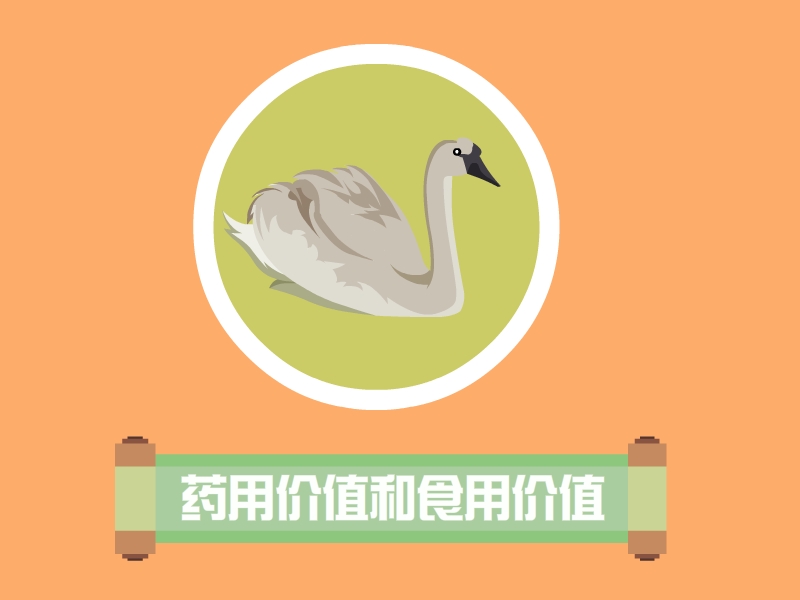 郎德鹅:原产于法国西部靠比斯开湾的郎德省