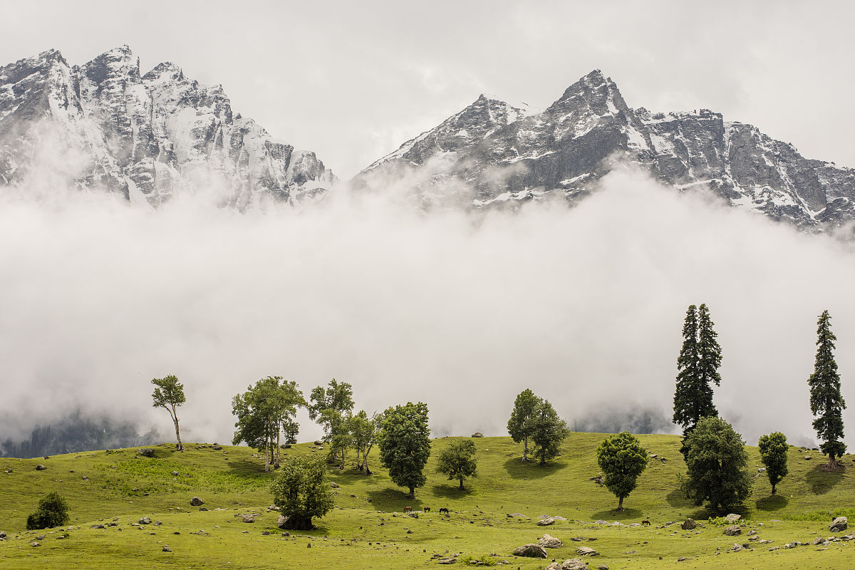 漳州职业技术学院涉外旅游专业好不好发展前景怎样