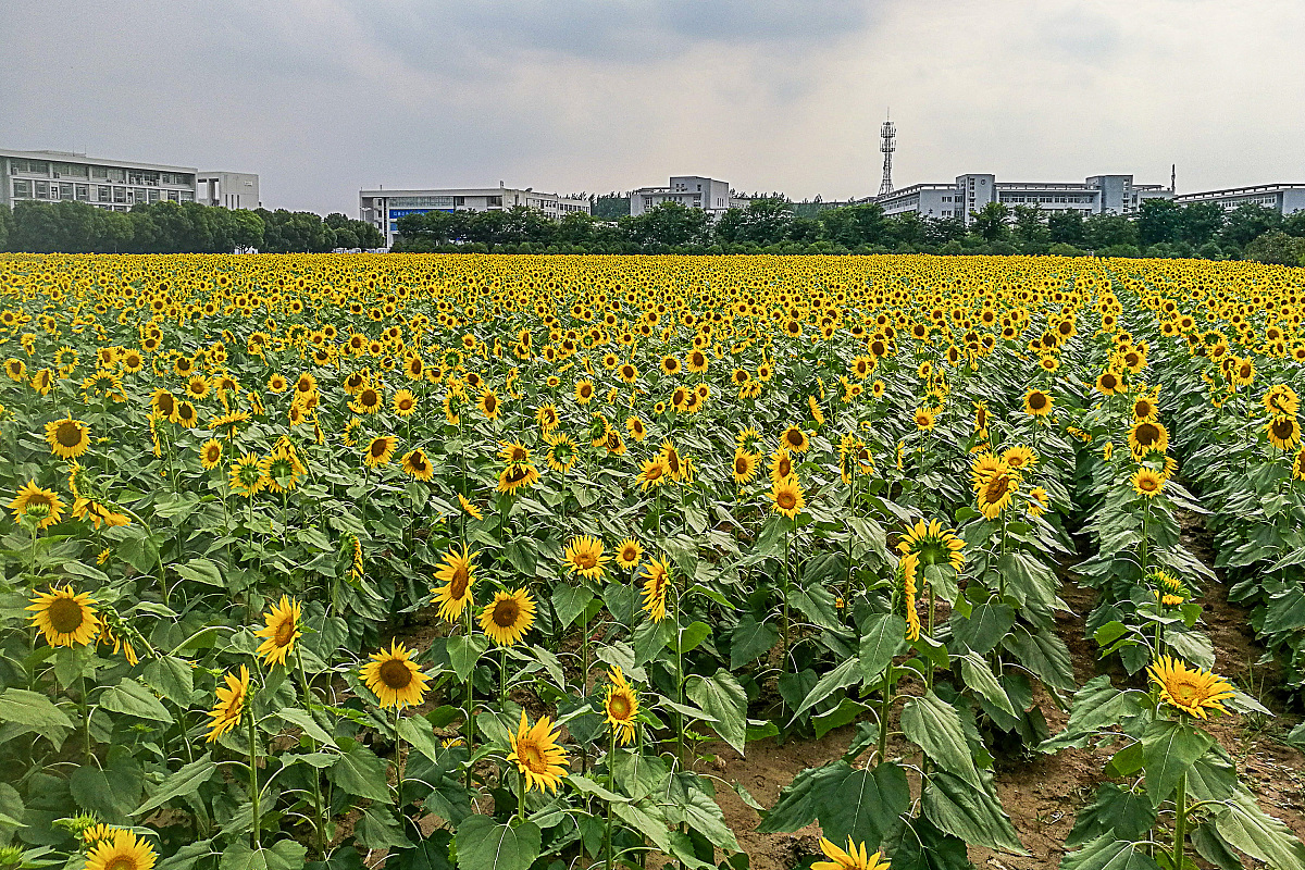 2023年值得关注的学前教育大专院校