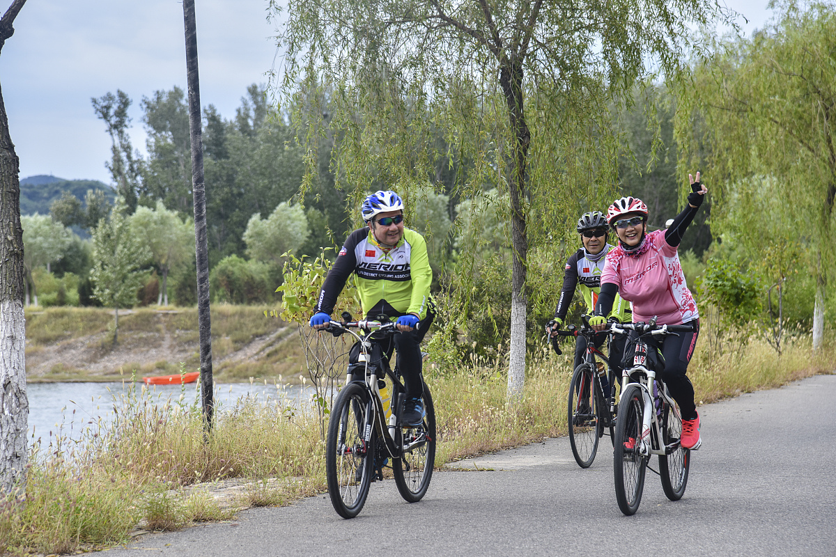 弗洛姆社会批判理论的启示：关注人性需要，建设更人道的社会