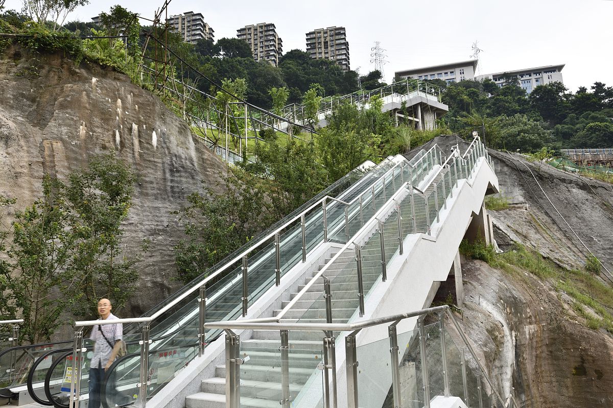 重庆职校中药学专业介绍 - 2019年招生简章