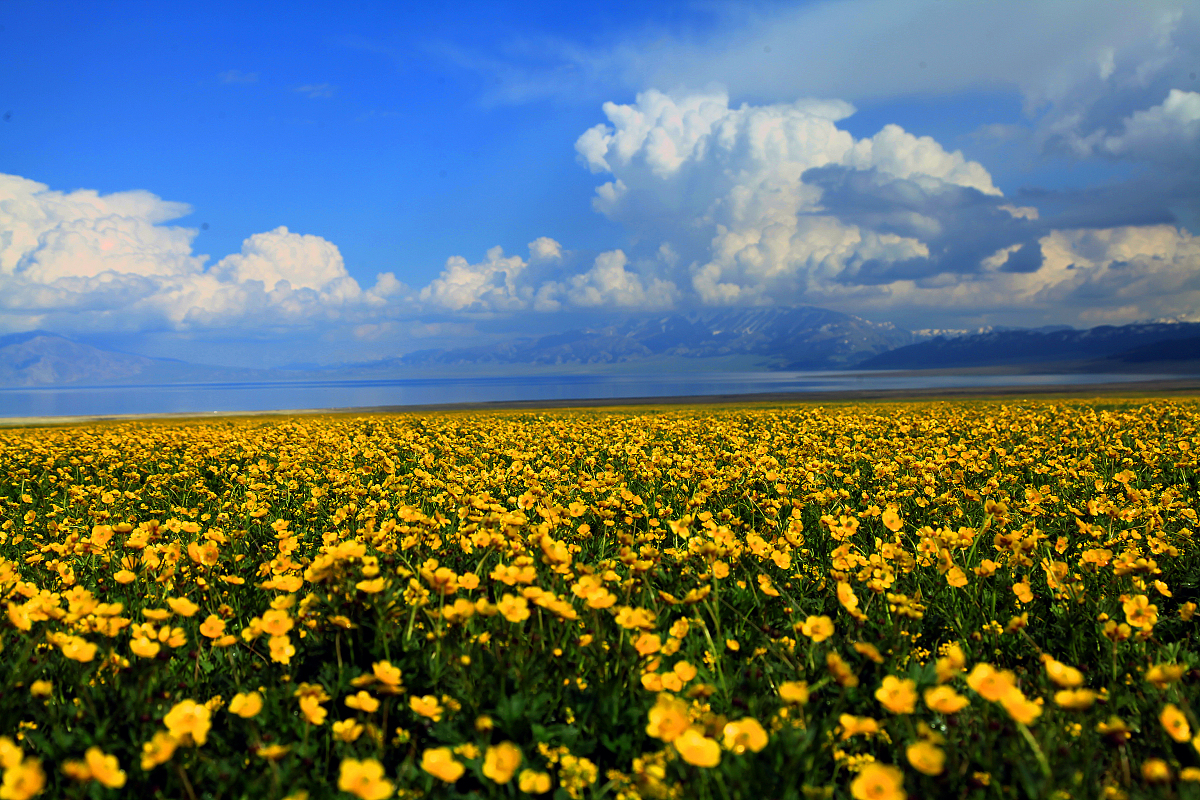 写一篇延安市农村基层民主建设问题及对策的研究意义。
