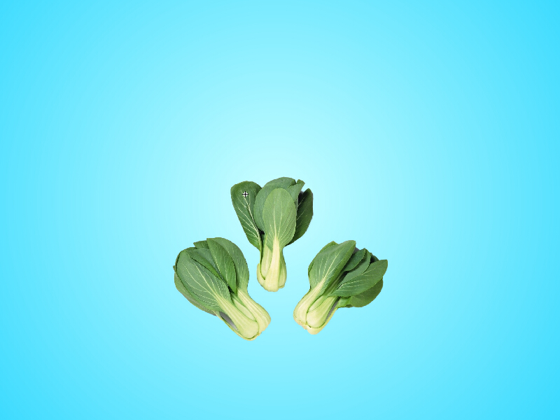 青菜:为中国最普遍蔬菜之一