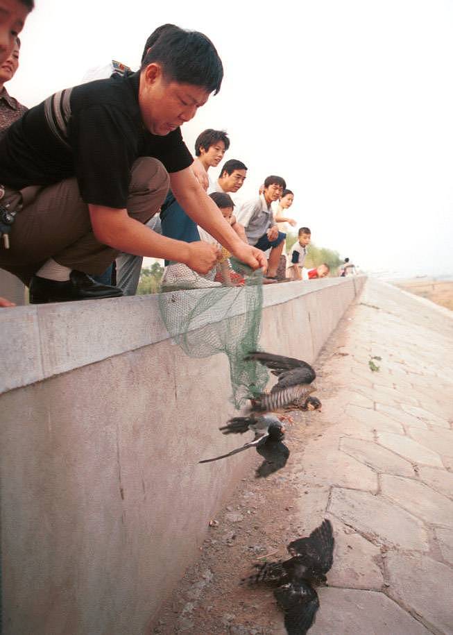 黄生林：环保先锋，垃圾哥的环保故事