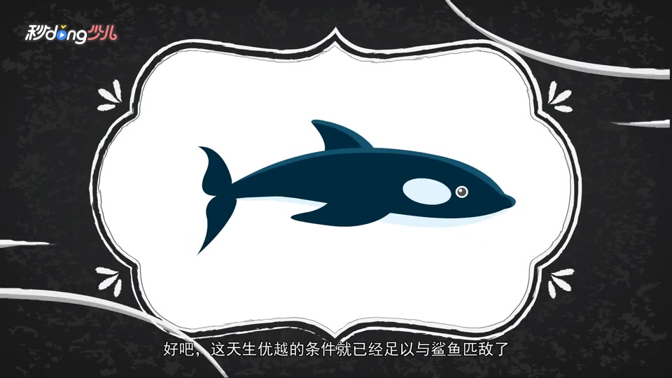 虎鲸PK鲨鱼,谁是赢家?