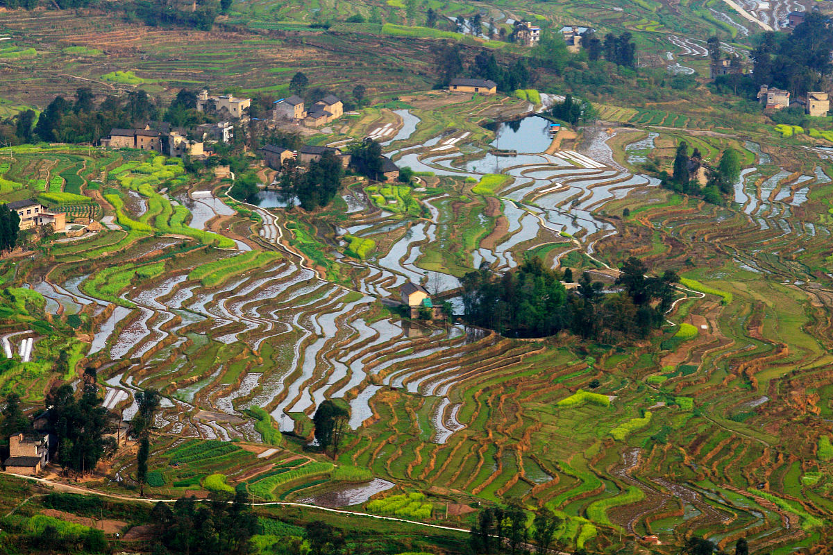 凯里女生中专学什么专业好？就业前景分析