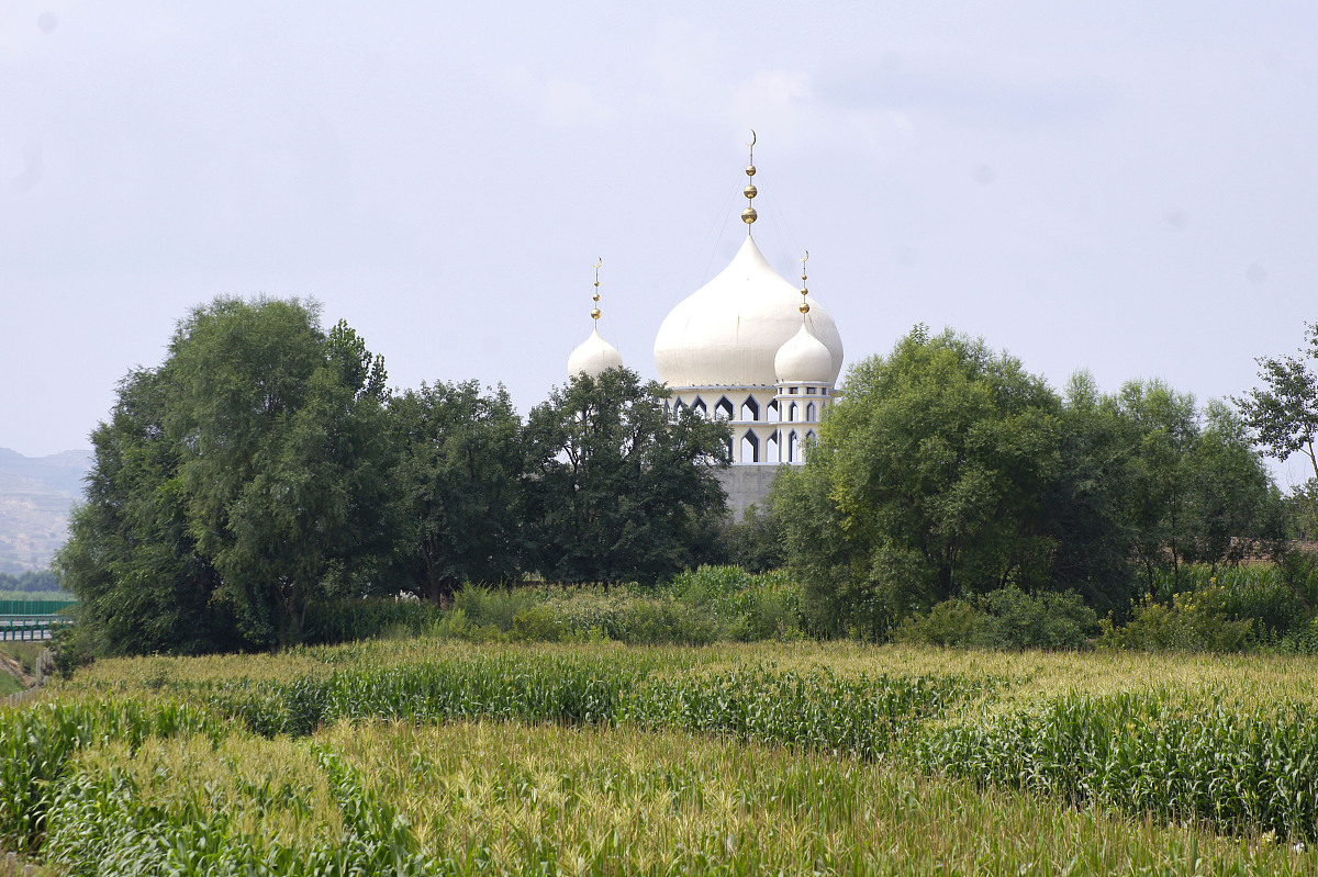 临夏州民族学校招生专业有哪些？专业选择指南