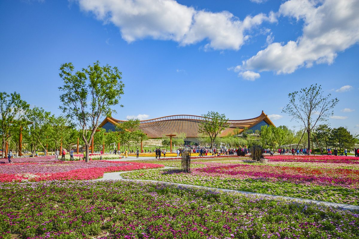 上虞区丰惠镇调研报告 - 经济、社会、文化发展现状及建议