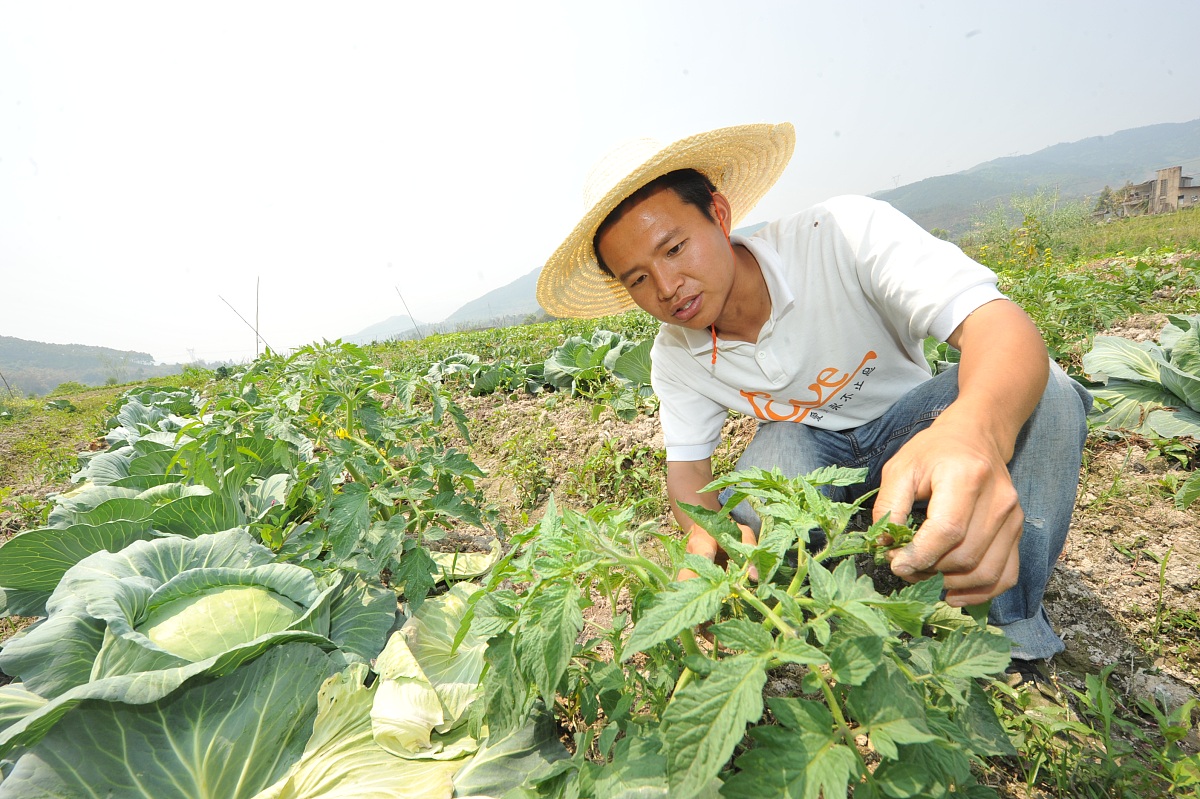 临洮农业学校计算机应用专业怎么样