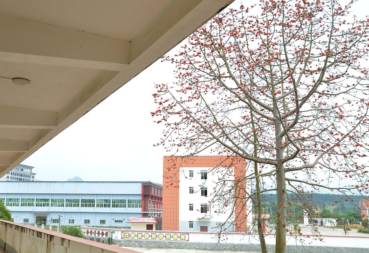 贵阳市女子职业学校美术设计与制作专业：如何提升学生实践能力