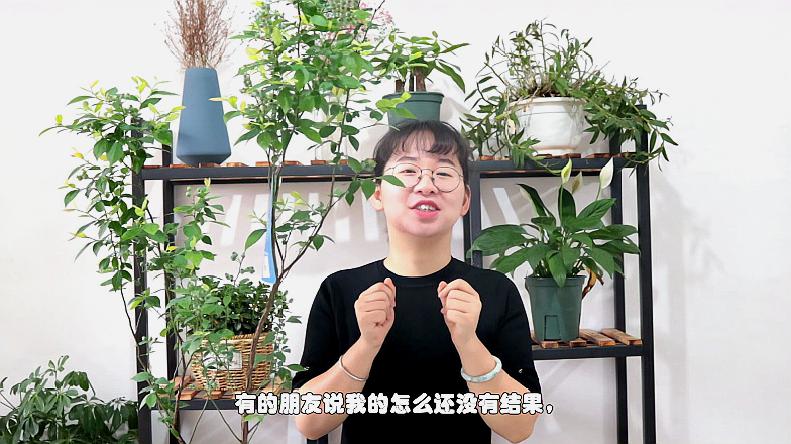 [图]蓝莓结满了果实,果期养护你知道吗?注意几点,不掉果果实大又甜