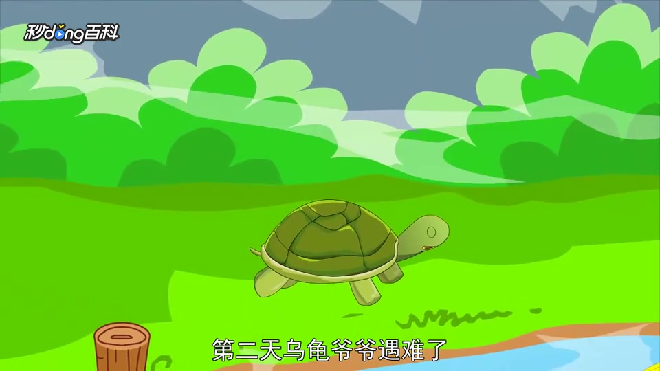 「秒懂百科」一分钟读懂小金鱼的故事