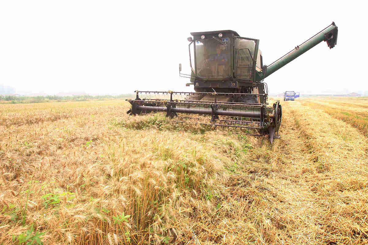 贵州开设有农业机械化专业的学校有哪些