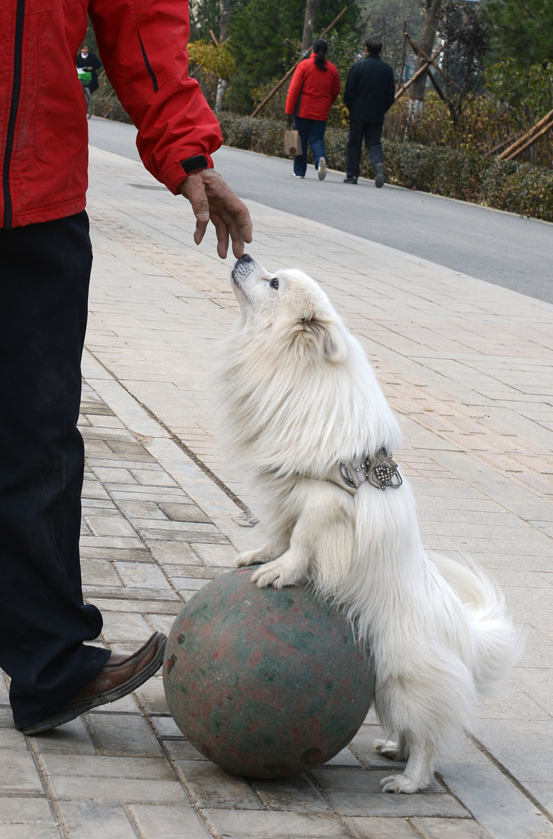 外接球半径是多少