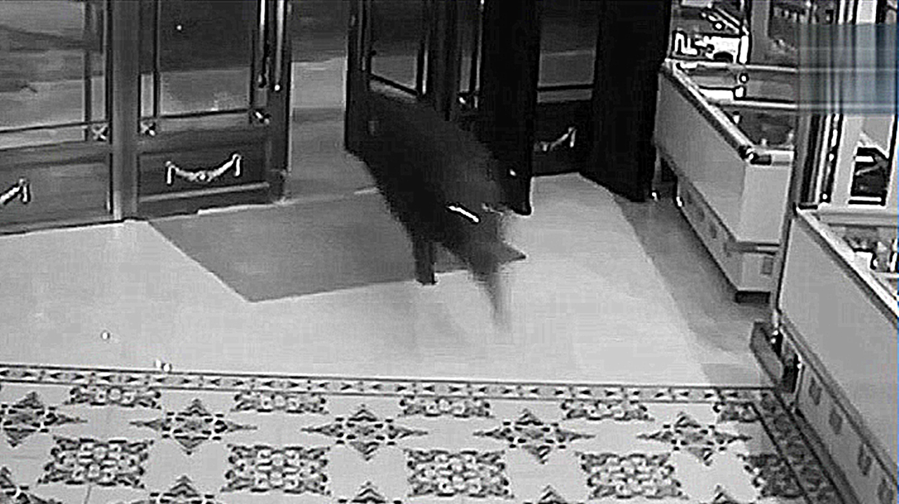 黑龙江集贤:男女KTV包厢正唱歌 一头野猪闯进来