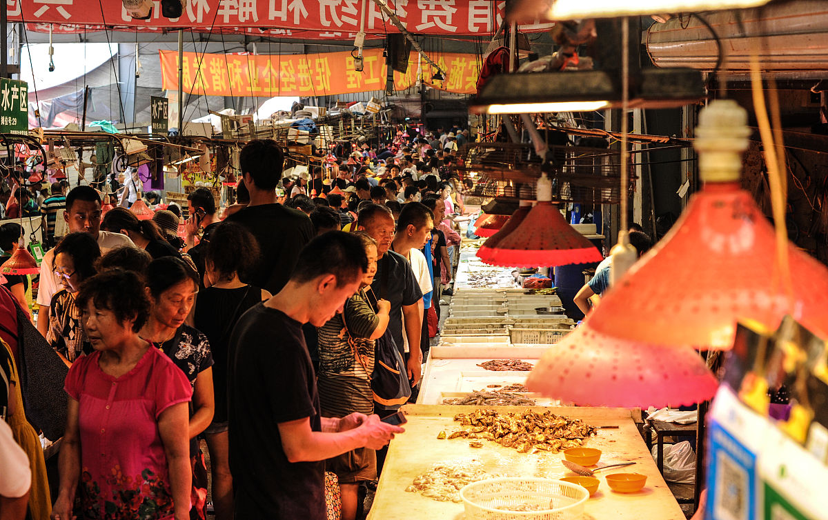 2019年9月8日,大连市民在沙河口区西南路海鲜批发市场购买各类鲜活海
