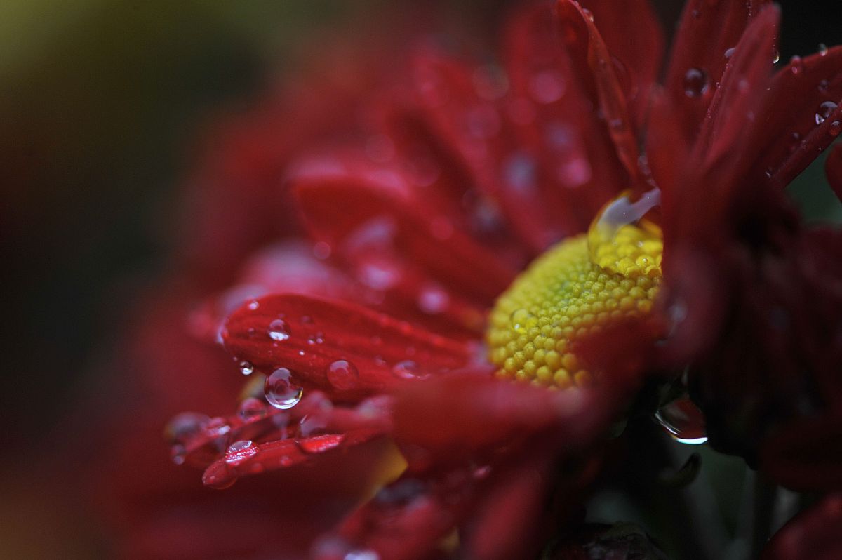 ハイセンス、2022年4.5㎏洗濯機一時撤退：アマゾン限定販売の戦略と2023年の展望