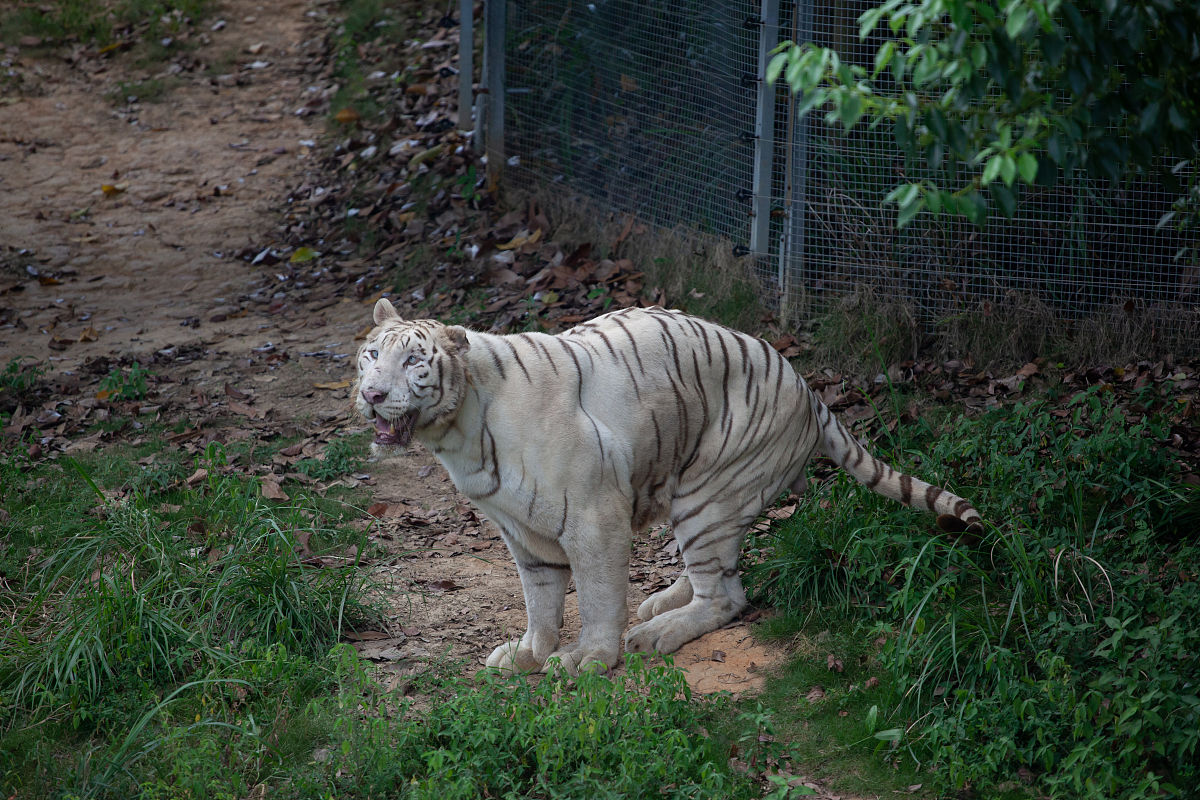2023年长沙县职业中专学校招生简章