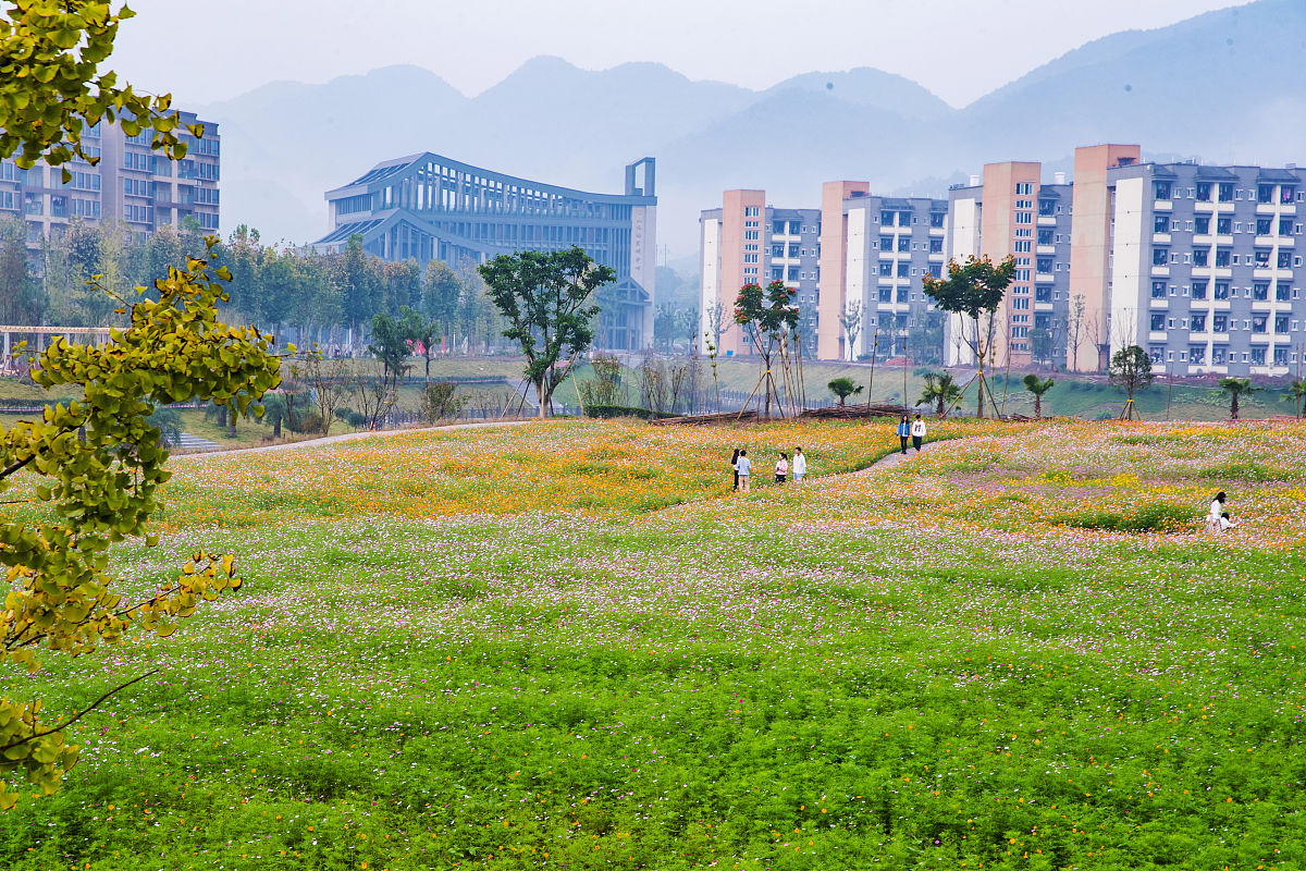 宁德职业技术学院园林技术专业怎么样