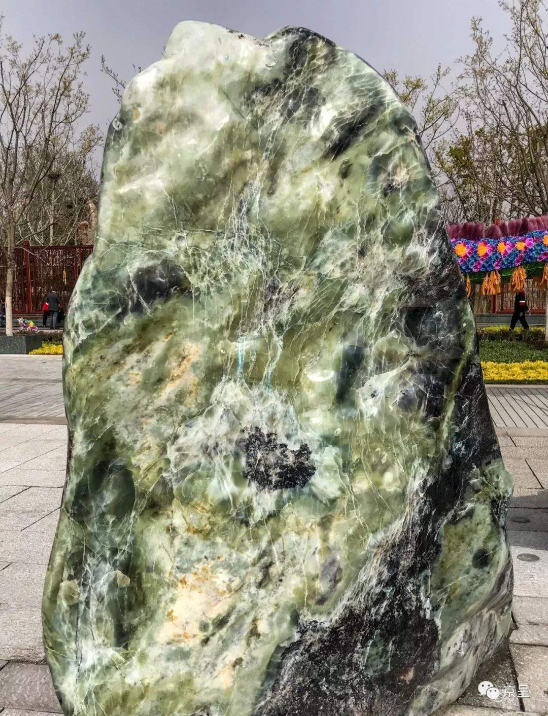 长江石 - 观赏石搜索结果 - 国石网