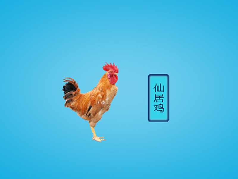 仙居鸡:浙江省仙居县特产