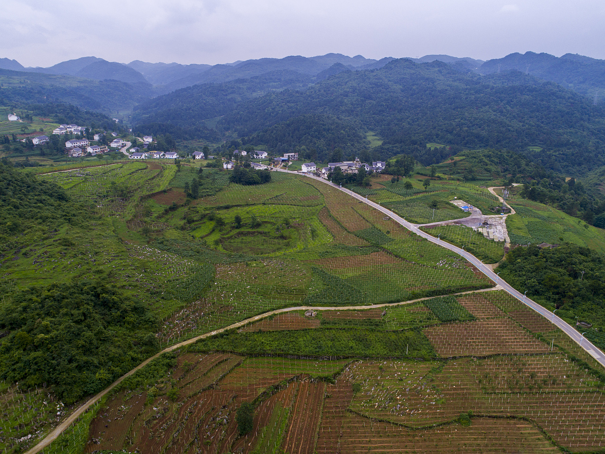 贵阳职高排名：哪家最好？