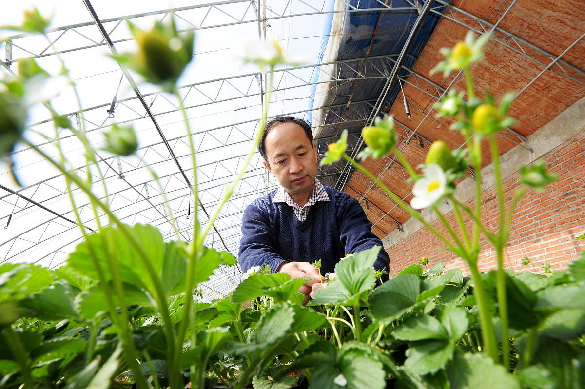 山西财经大学博士换导师指南：流程与注意事项