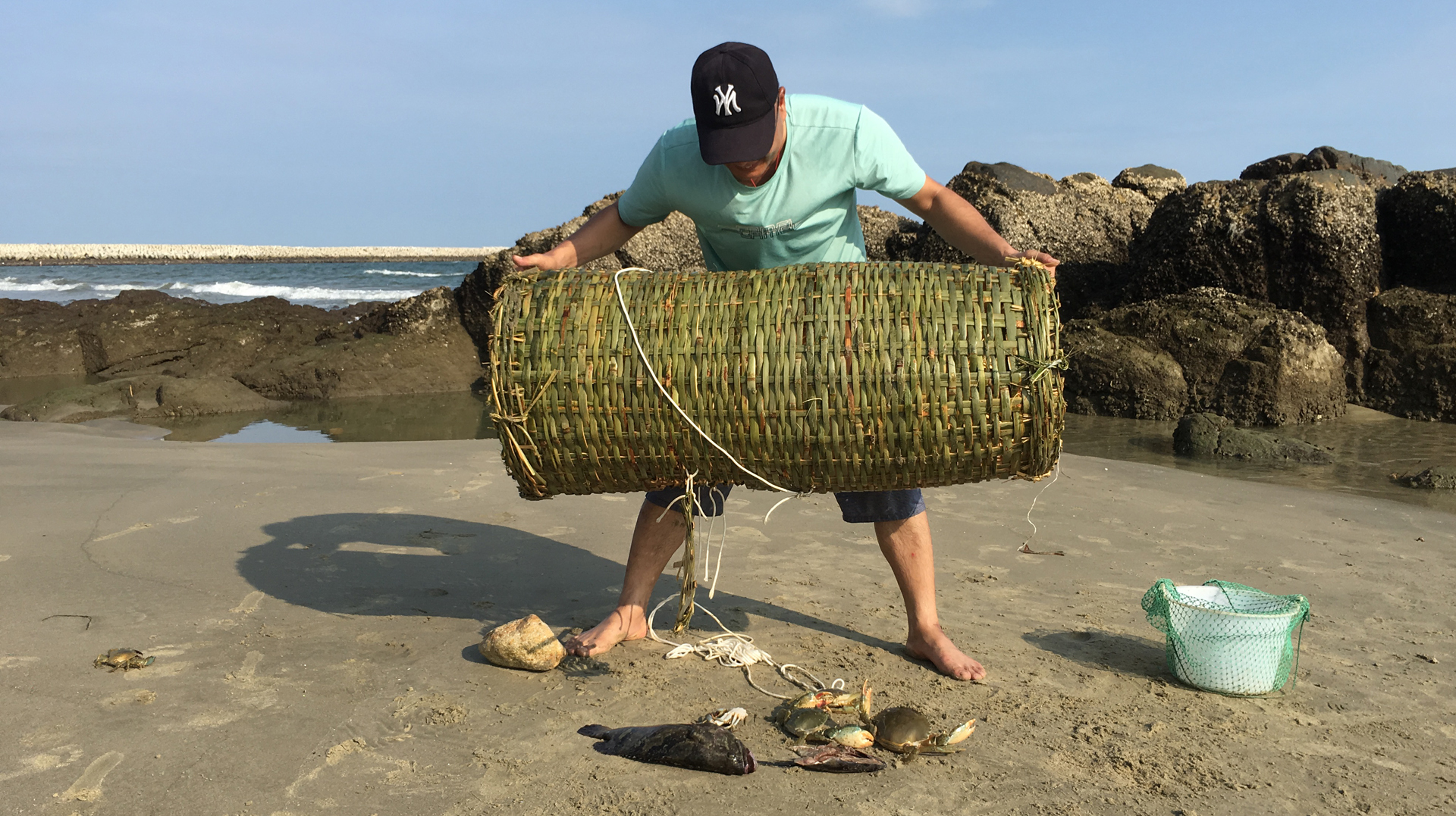 闲牛赶海又玩新花样,做了个古老捕鱼神器,捕获到值300多的龙趸