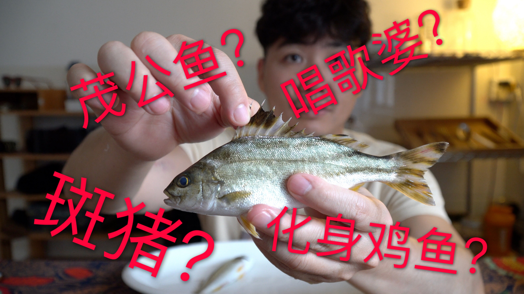 为什么同一种鱼在不同地方名字不一样?我要做鱼类科普视频的原因