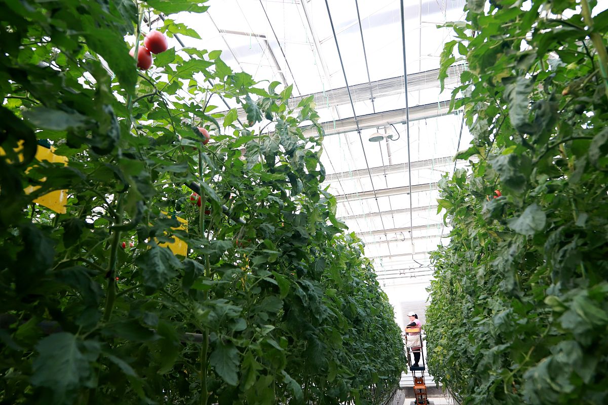 青岛西海岸航海职业学校怎么样？教学质量深度分析！