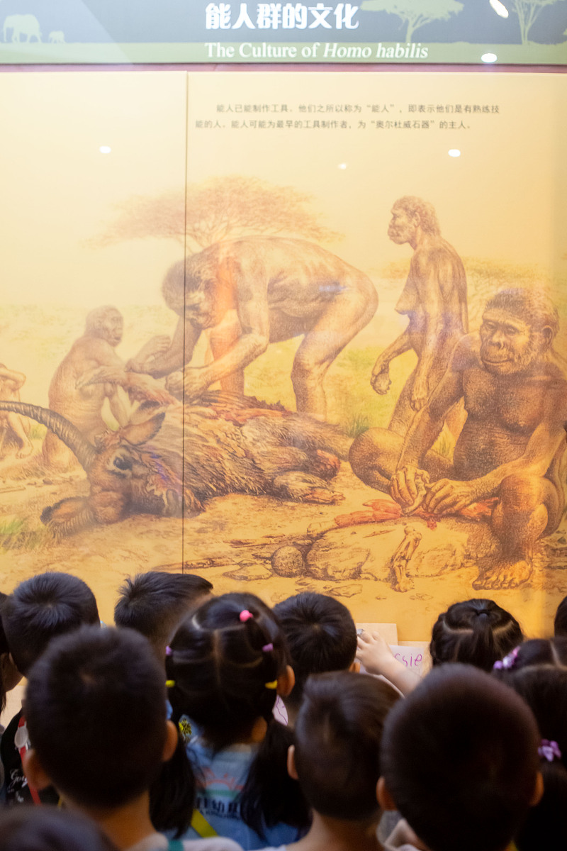 人类文明演变史：从早期人类到现代社会