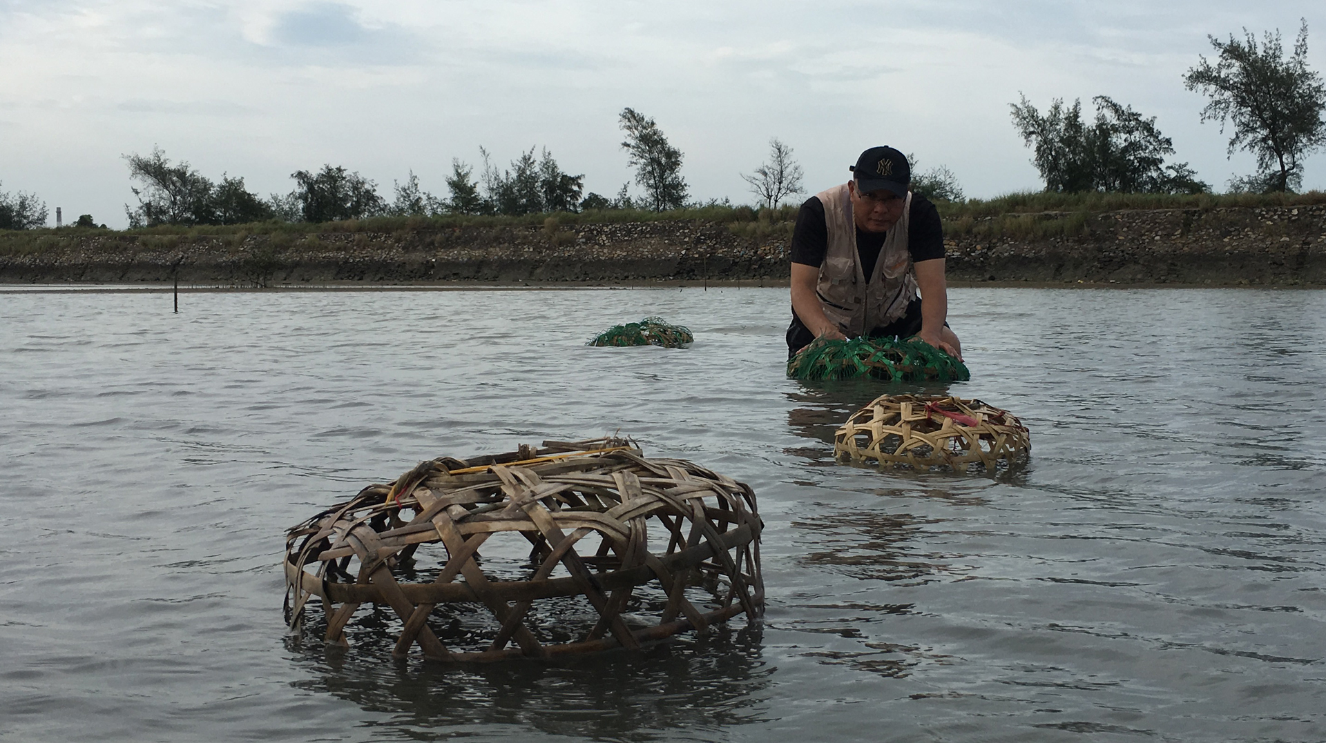 闲牛用鸡笼改造成奇葩的捕鱼笼,用金枪鱼做饵料,果然引来好多鱼