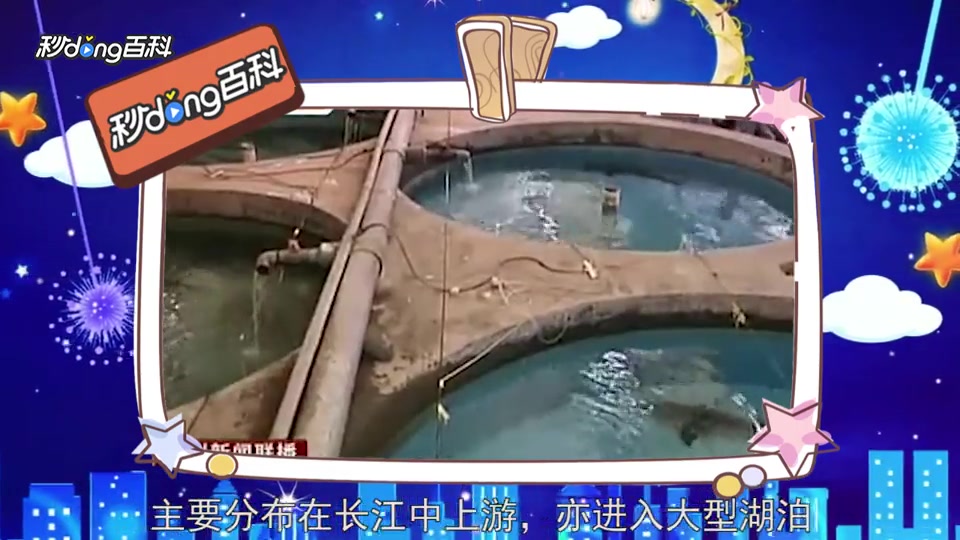 男子视频晒“吃湟鱼”被罚7000元