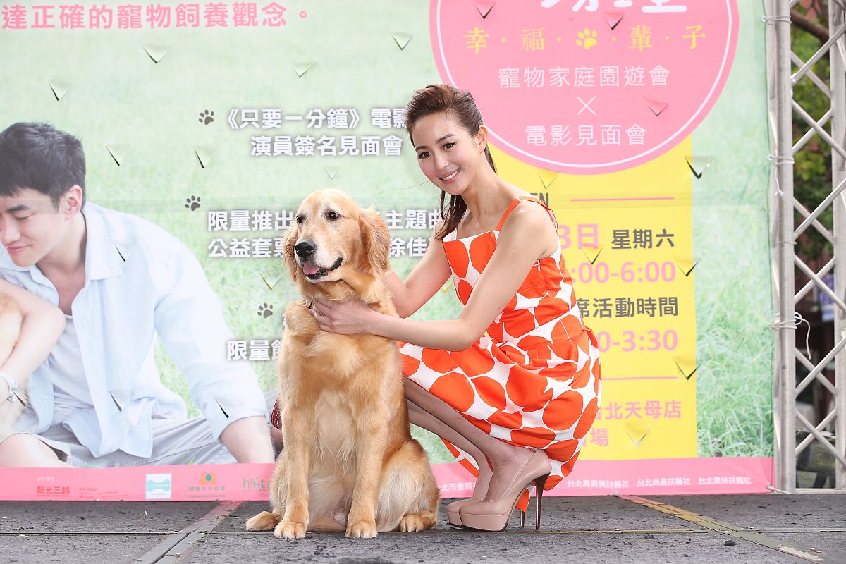 宠物领养网站暖心标语：为毛孩子们找到爱的港湾