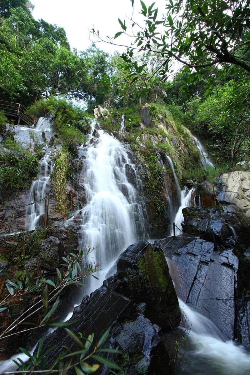 海南工商职业学院旅游服务与管理专业怎么样