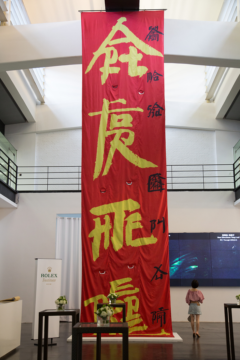 ***_***2018年7月20日,北京,艺术家徐冰个展"徐冰:思想与方法"在尤伦
