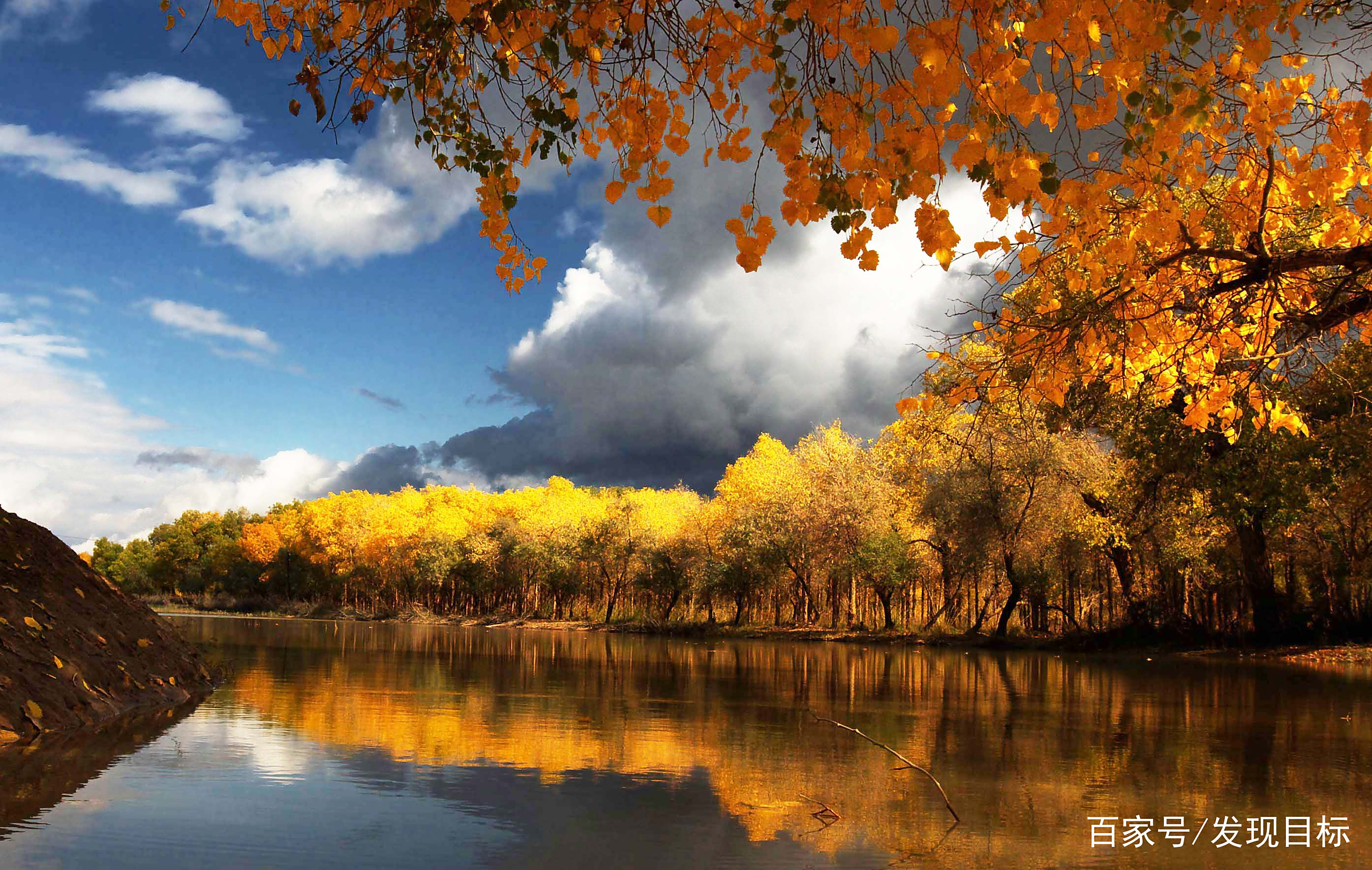 秋高气爽赏秋景体秋韵 你觉得哪里的秋景最漂亮?