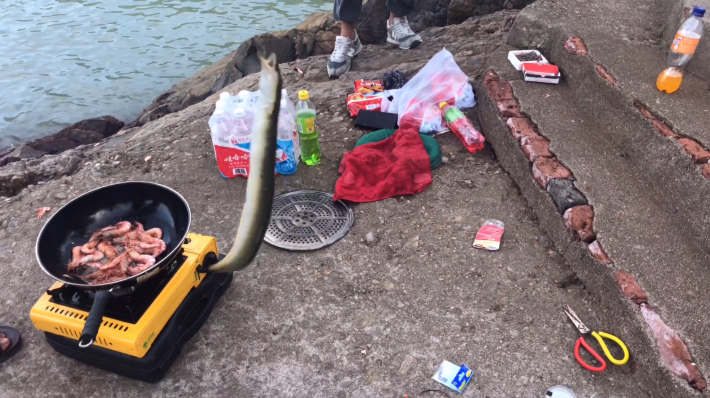 海钓钓了一条鳗鱼,这应该是鳗鱼中最贵的一种吧,炖了自己吃!