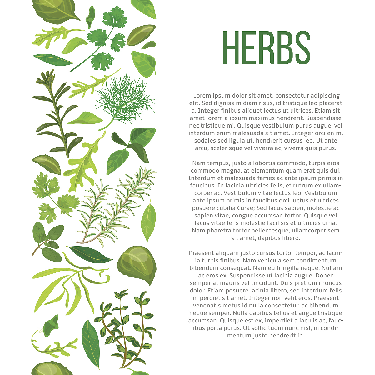 FLORA期刊研究范围详细介绍