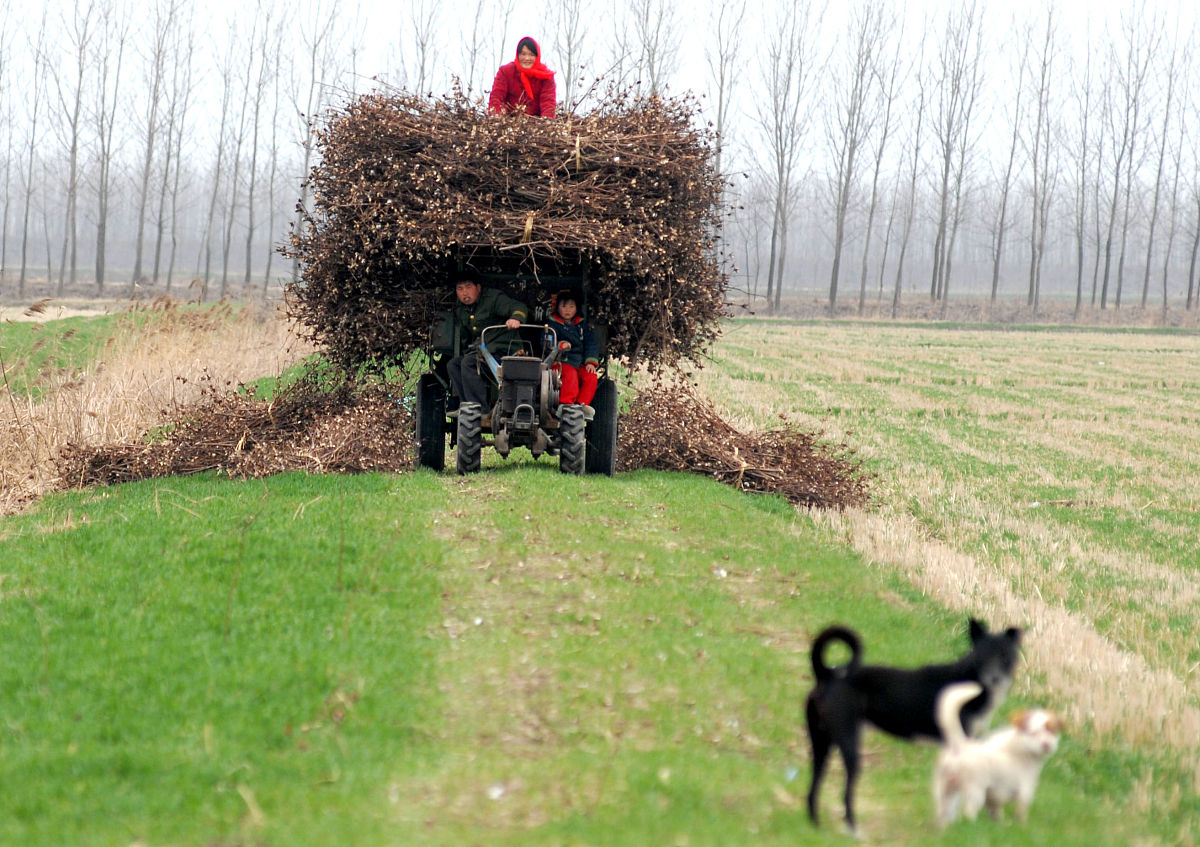 手扶拖拉机低挡拉不出来是怎么回事