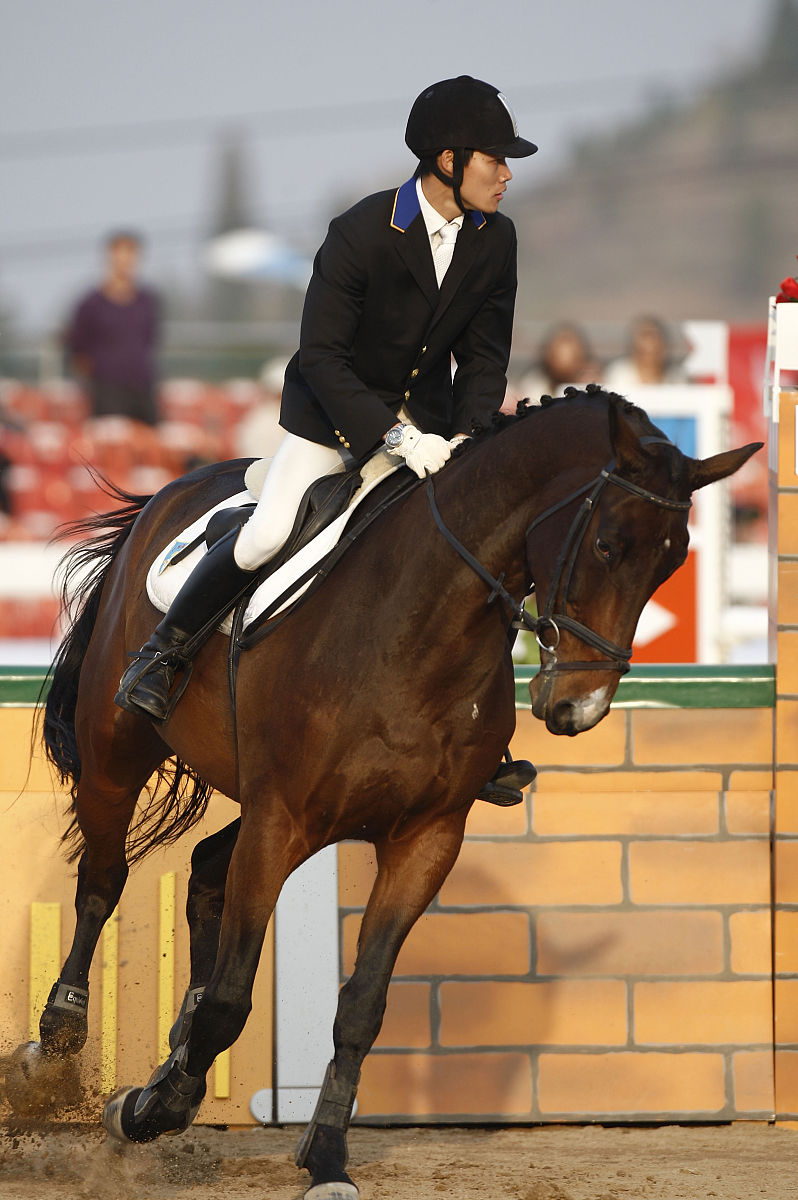 马英九开过什么动物回答+拓展