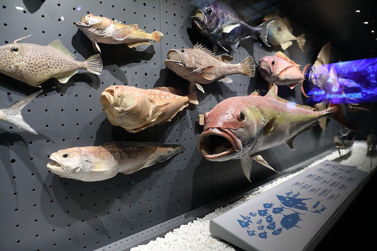 2x125MW+2x300MW 火力发电厂毕业设计论文：技术、环境和经济分析